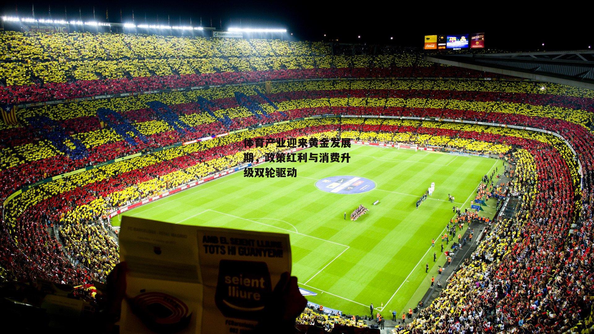 体育产业迎来黄金发展期，政策红利与消费升级双轮驱动